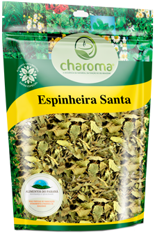 Charoma-Chás-mais-vendido-Espinheira-Santa